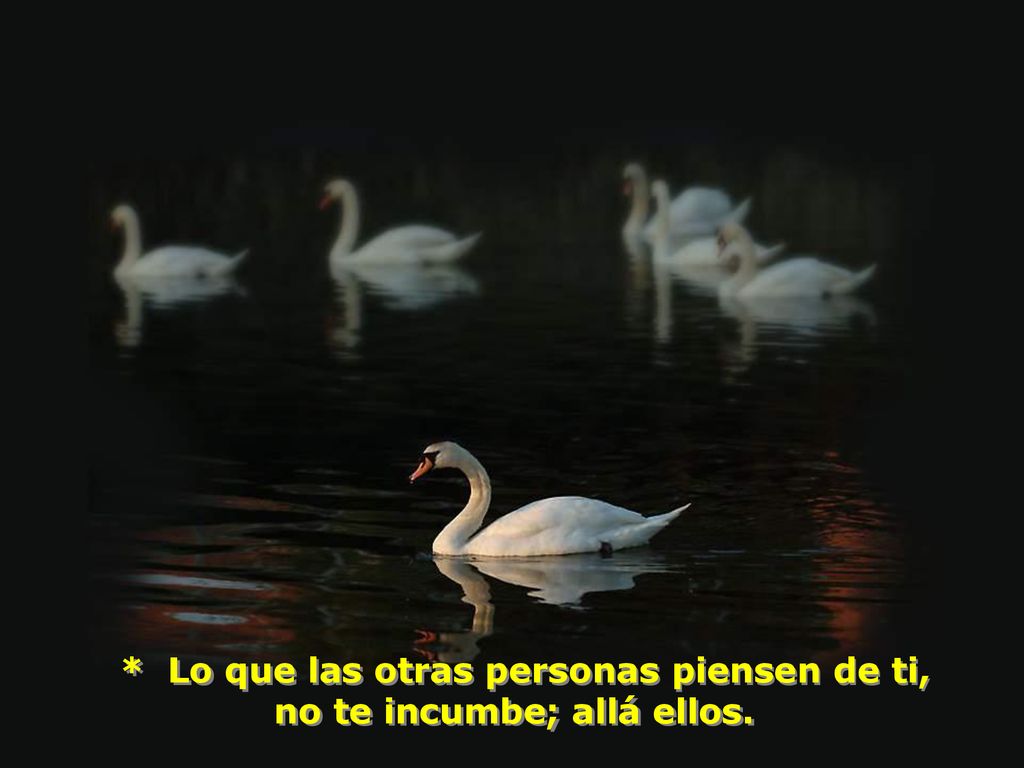 * Lo que las otras personas piensen de ti, no te incumbe; allá ellos.