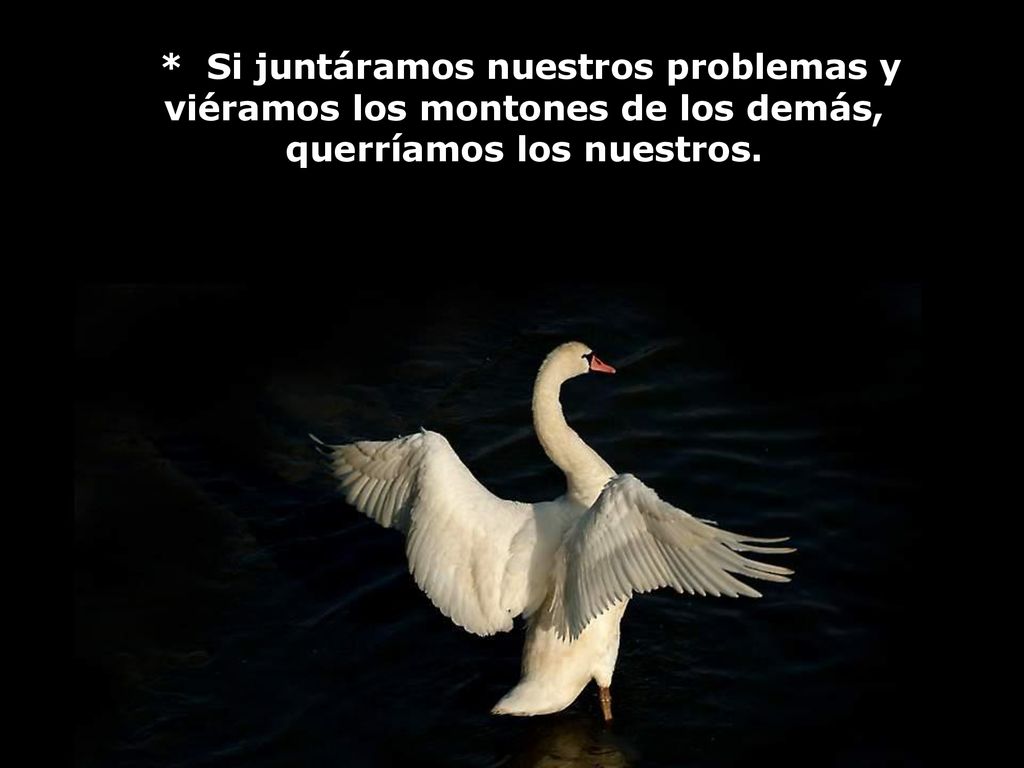 * Si juntáramos nuestros problemas y viéramos los montones de los demás, querríamos los nuestros.