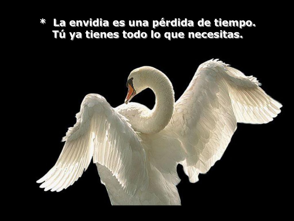 * La envidia es una pérdida de tiempo. Tú ya tienes todo lo que necesitas.