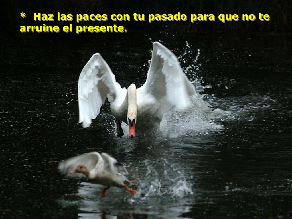 * Haz las paces con tu pasado para que no te arruine el presente.