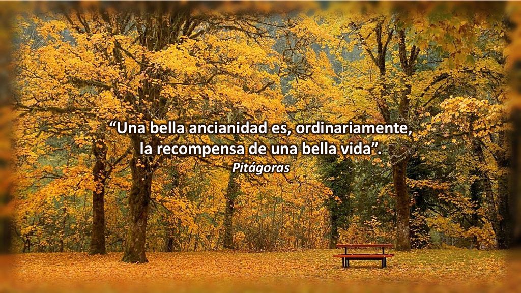 Una bella ancianidad es, ordinariamente, la recompensa de una bella vida .