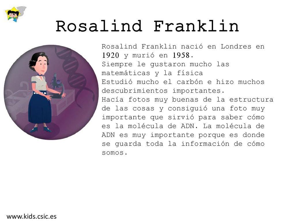 Rosalind Franklin Rosalind Franklin nació en Londres en 1920 y murió en Siempre le gustaron mucho las matemáticas y la física.