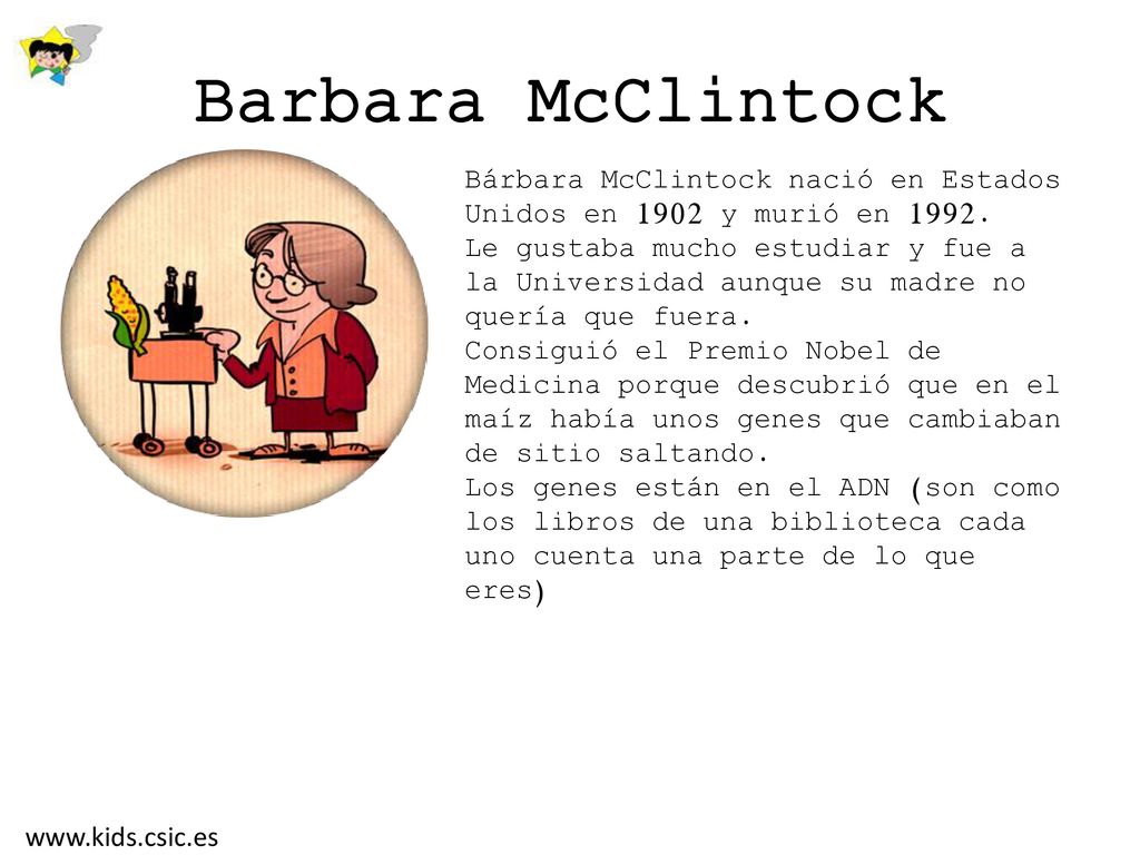 Barbara McClintock Bárbara McClintock nació en Estados Unidos en 1902 y murió en