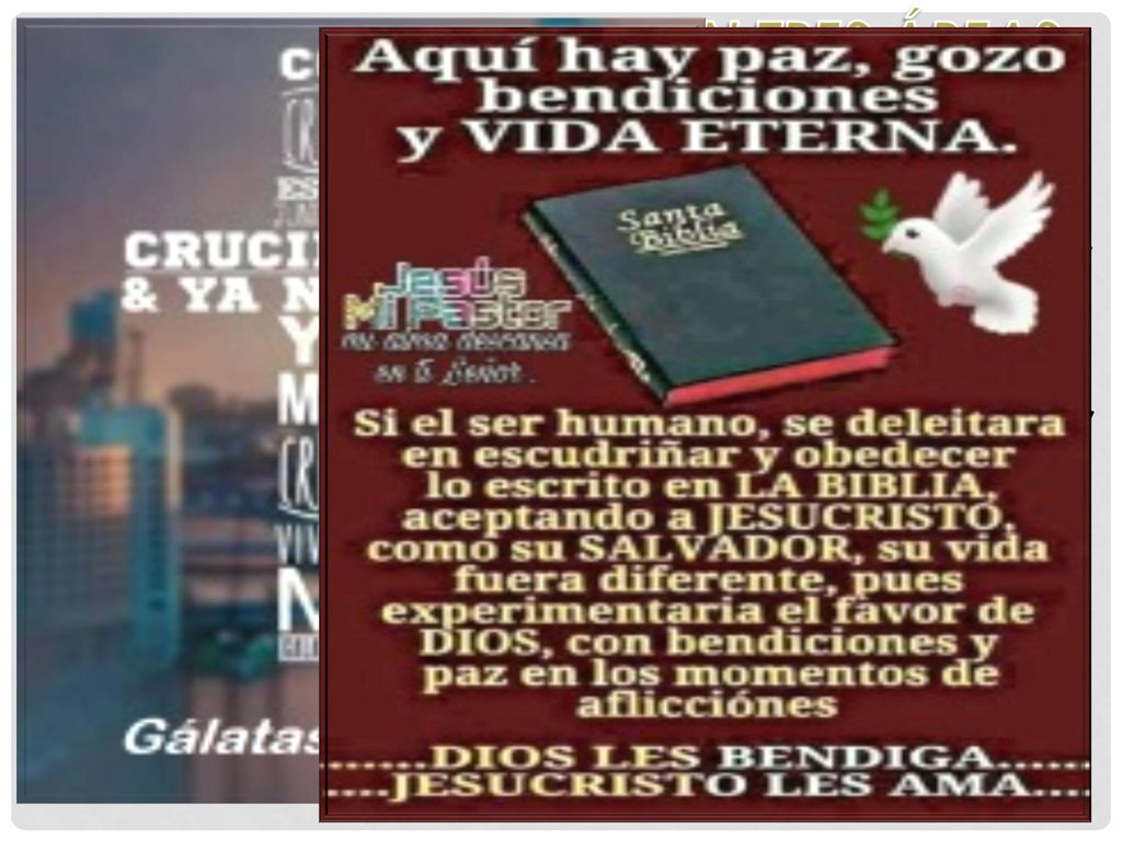 2. EL DESIERTO SE VIVE EN TRES ÁREAS PRINCIPALES DE LA VIDA