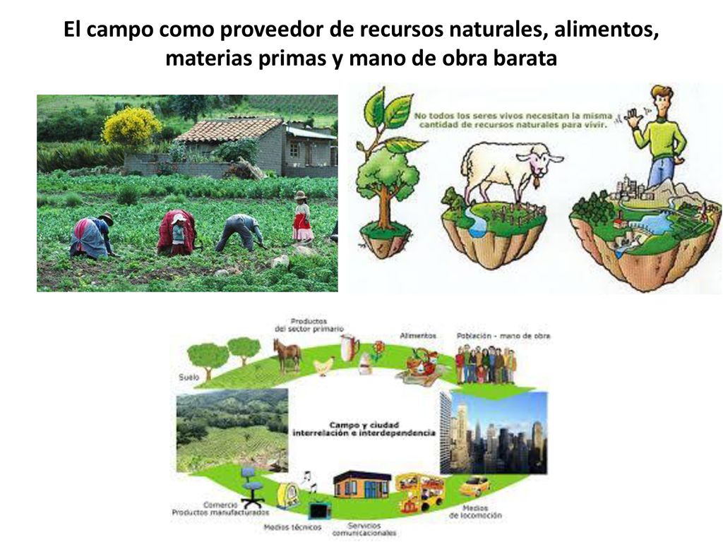 El campo como proveedor de recursos naturales, alimentos, materias primas y mano de obra barata