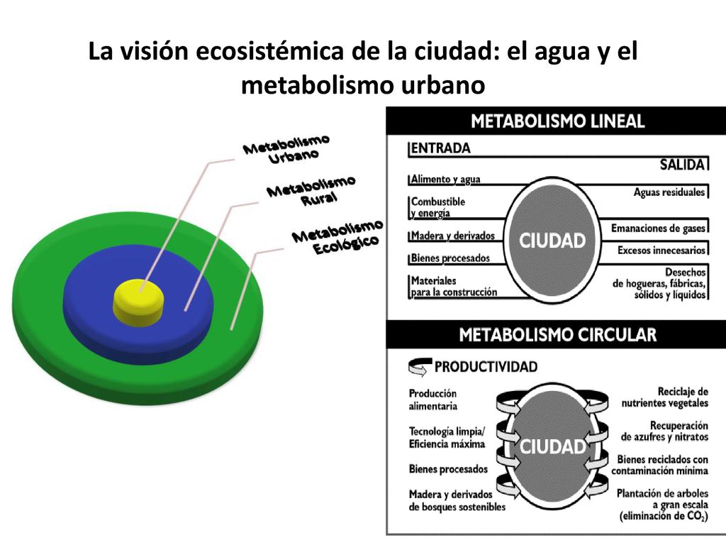 La visión ecosistémica de la ciudad: el agua y el metabolismo urbano