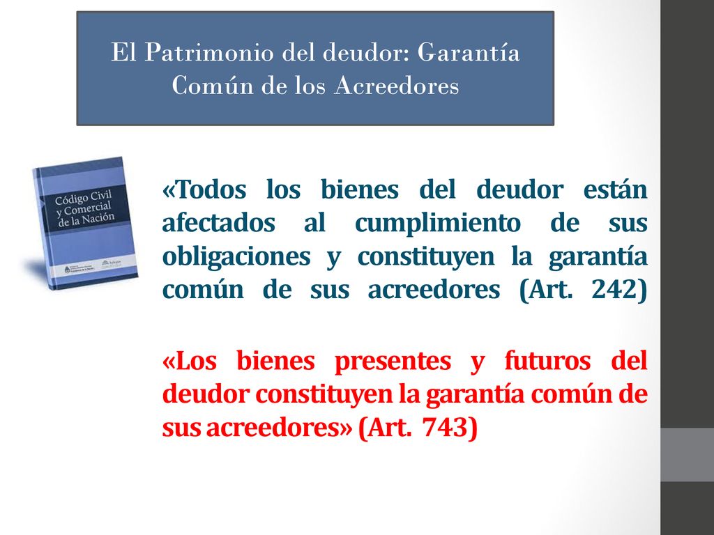 El Patrimonio del deudor: Garantía Común de los Acreedores