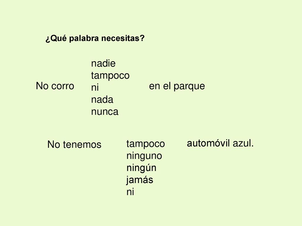 nadie tampoco ni nada nunca No corro en el parque No tenemos tampoco