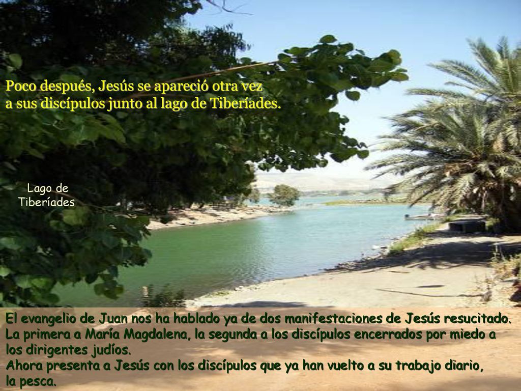 Poco después, Jesús se apareció otra vez a sus discípulos junto al lago de Tiberíades.