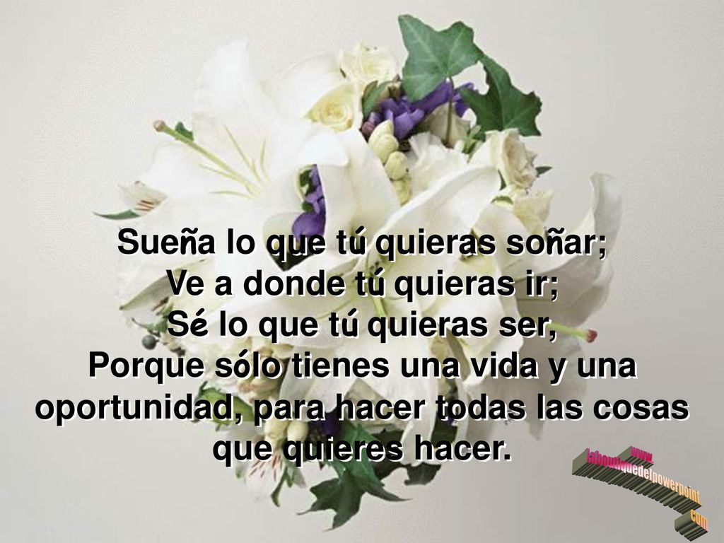 Sueña lo que tú quieras soñar; Ve a donde tú quieras ir;