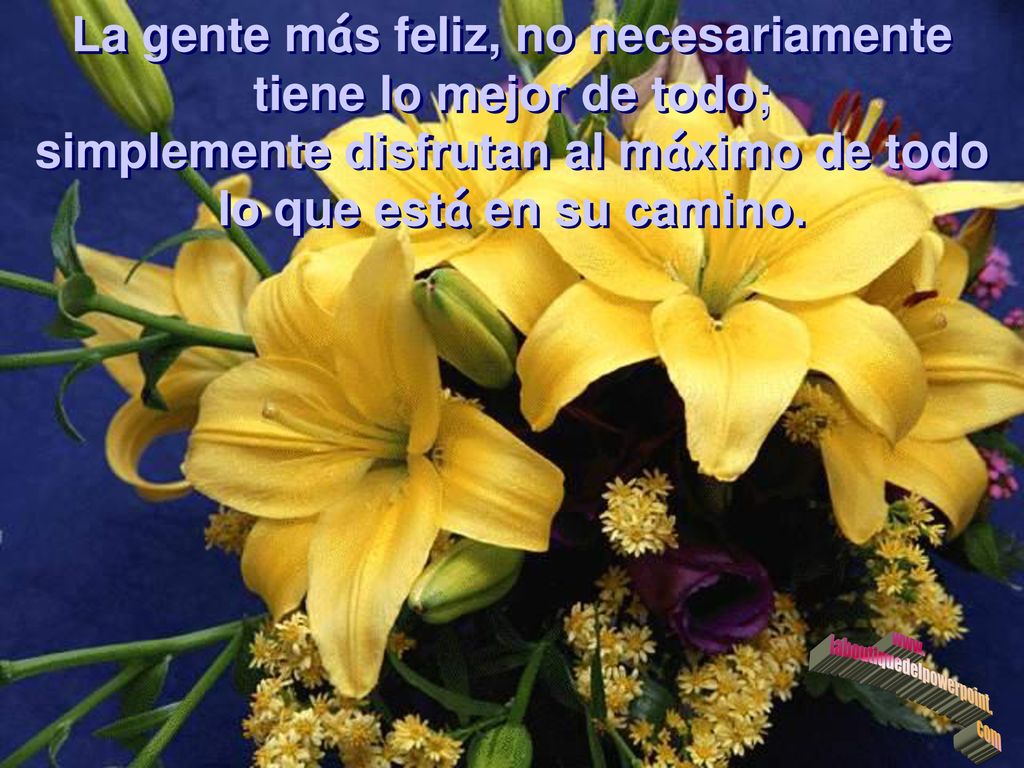 La gente más feliz, no necesariamente tiene lo mejor de todo;