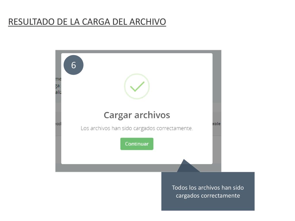 Todos los archivos han sido cargados correctamente