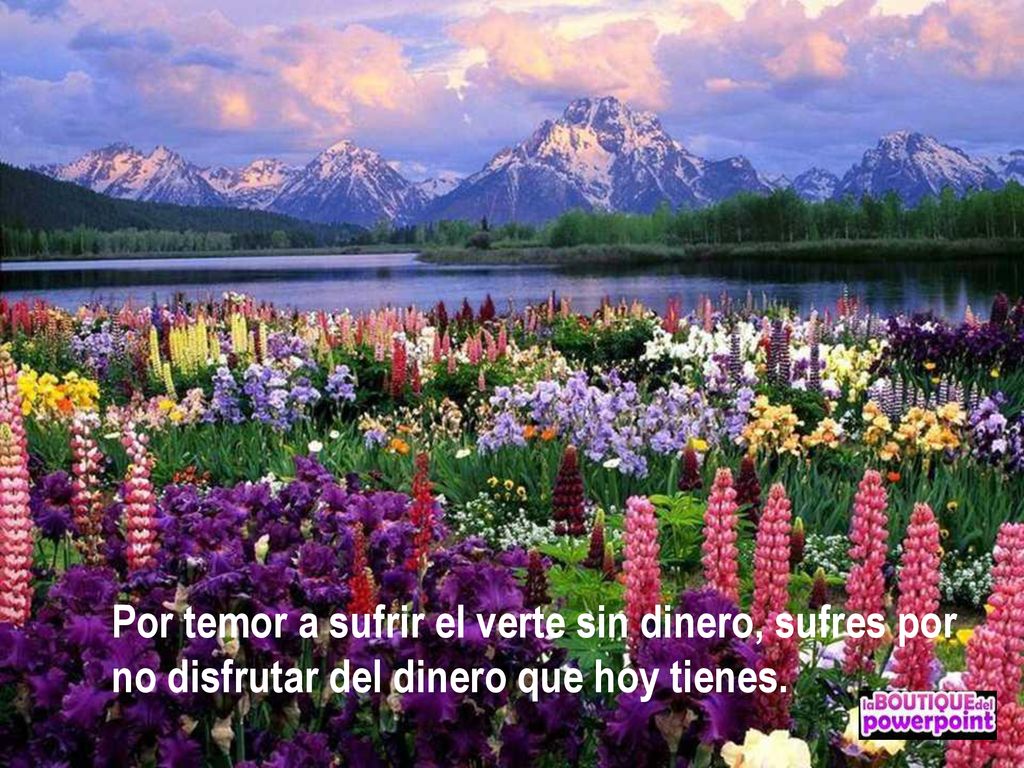 Por temor a sufrir el verte sin dinero, sufres por no disfrutar del dinero que hoy tienes.