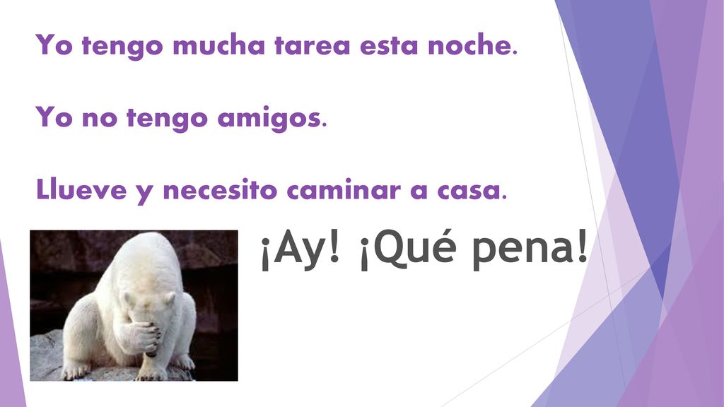¡Ay! ¡Qué pena! Yo tengo mucha tarea esta noche. Yo no tengo amigos.