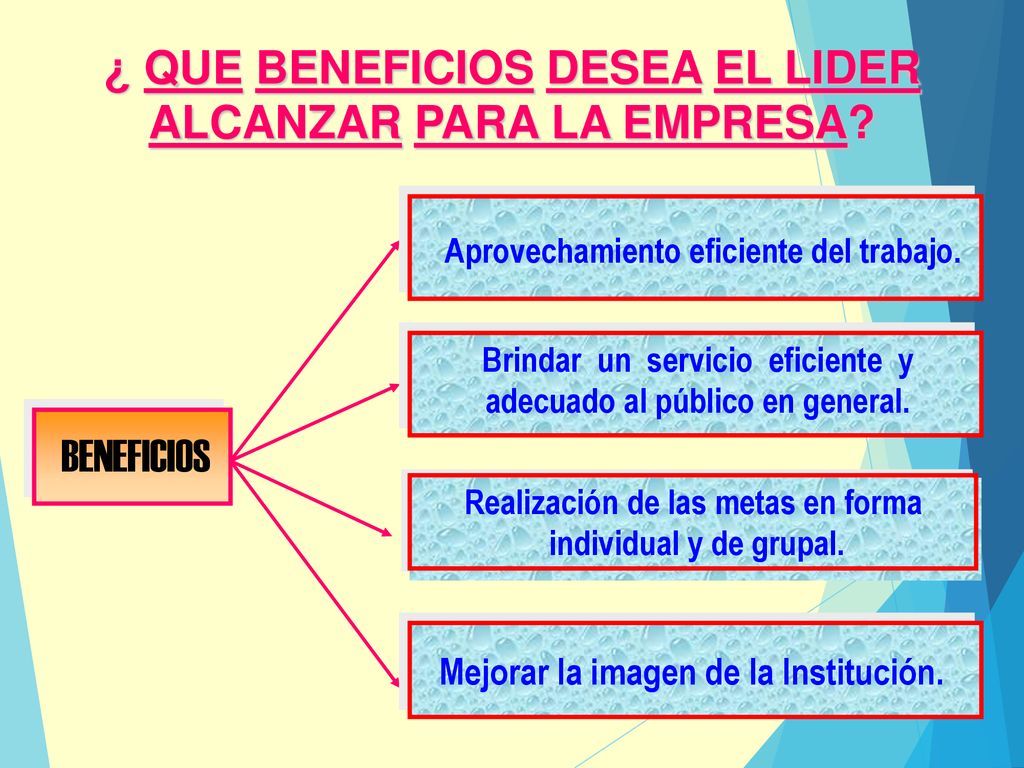 ¿ QUE BENEFICIOS DESEA EL LIDER ALCANZAR PARA LA EMPRESA