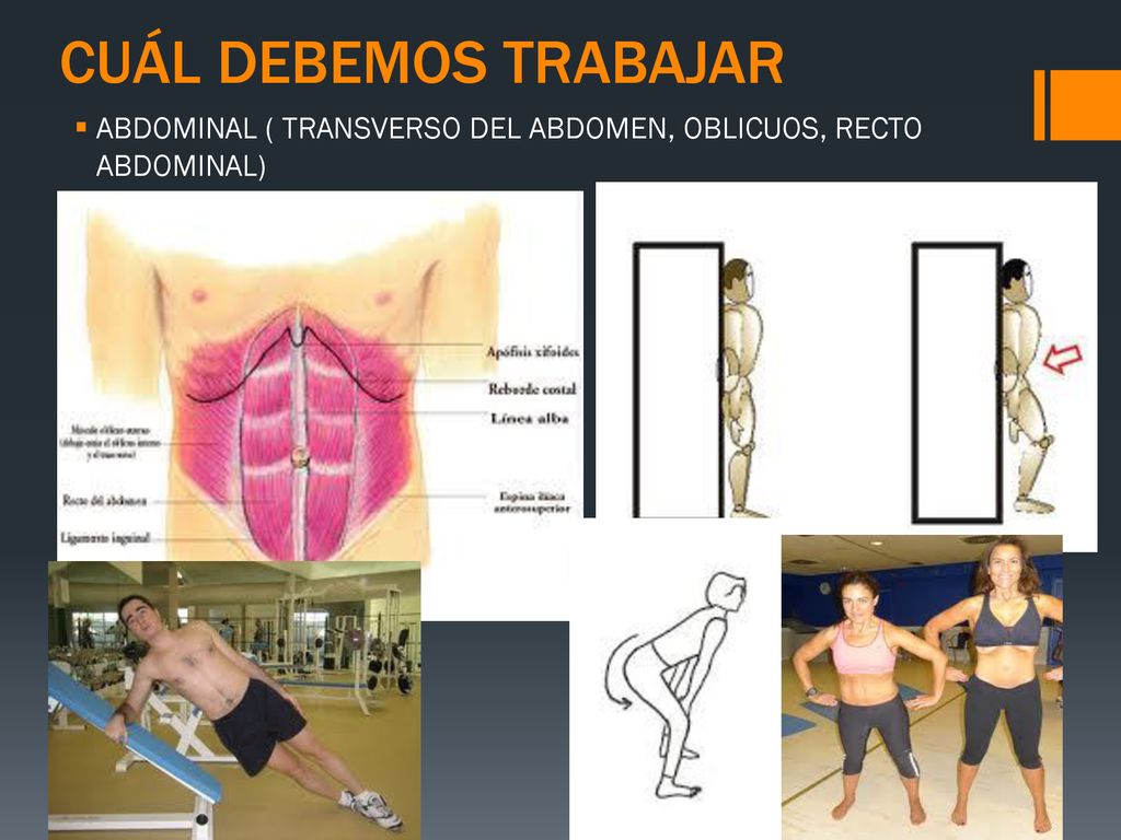 CUÁL DEBEMOS TRABAJAR ABDOMINAL ( TRANSVERSO DEL ABDOMEN, OBLICUOS, RECTO ABDOMINAL)