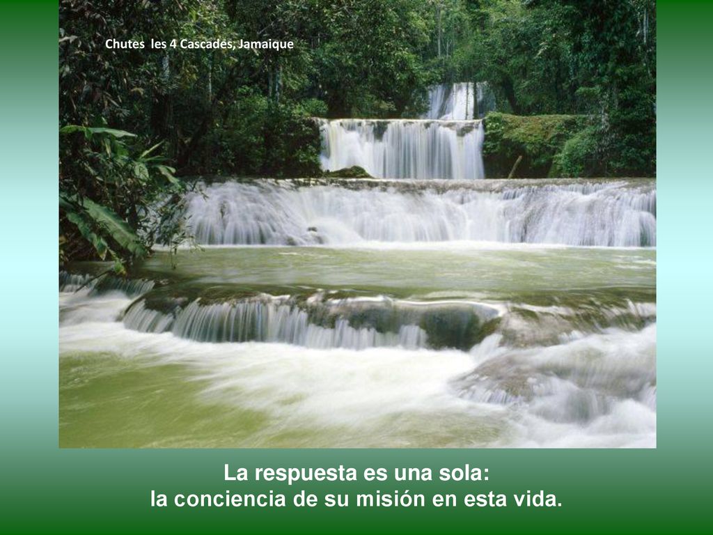 La respuesta es una sola: la conciencia de su misión en esta vida.