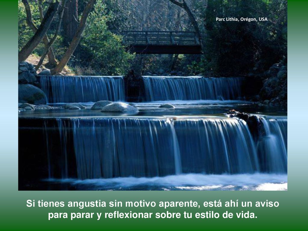 Parc Lithia, Orégon, USA Si tienes angustia sin motivo aparente, está ahí un aviso para parar y reflexionar sobre tu estilo de vida.