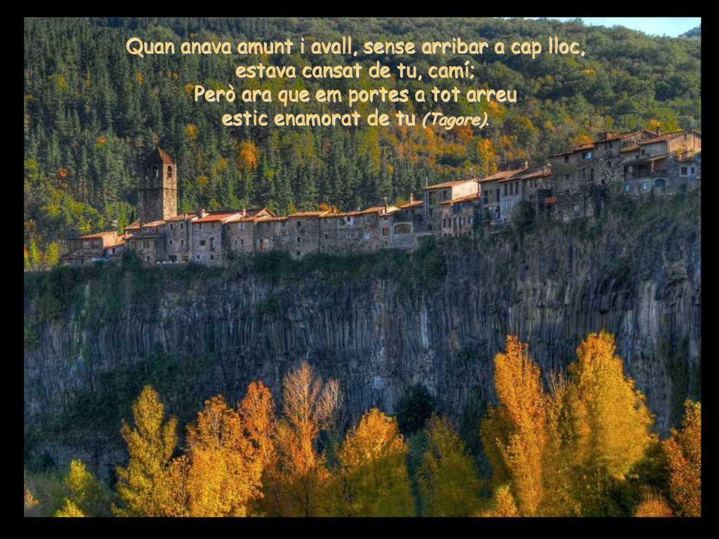 Però ara que em portes a tot arreu estic enamorat de tu (Tagore).