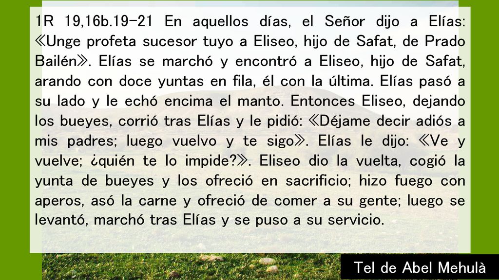 1R 19,16b En aquellos días, el Señor dijo a Elías: «Unge profeta sucesor tuyo a Eliseo, hijo de Safat, de Prado Bailén». Elías se marchó y encontró a Eliseo, hijo de Safat, arando con doce yuntas en fila, él con la última. Elías pasó a su lado y le echó encima el manto. Entonces Eliseo, dejando los bueyes, corrió tras Elías y le pidió: «Déjame decir adiós a mis padres; luego vuelvo y te sigo». Elías le dijo: «Ve y vuelve; ¿quién te lo impide ». Eliseo dio la vuelta, cogió la yunta de bueyes y los ofreció en sacrificio; hizo fuego con aperos, asó la carne y ofreció de comer a su gente; luego se levantó, marchó tras Elías y se puso a su servicio.
