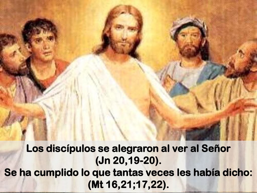 Los discípulos se alegraron al ver al Señor (Jn 20,19-20).