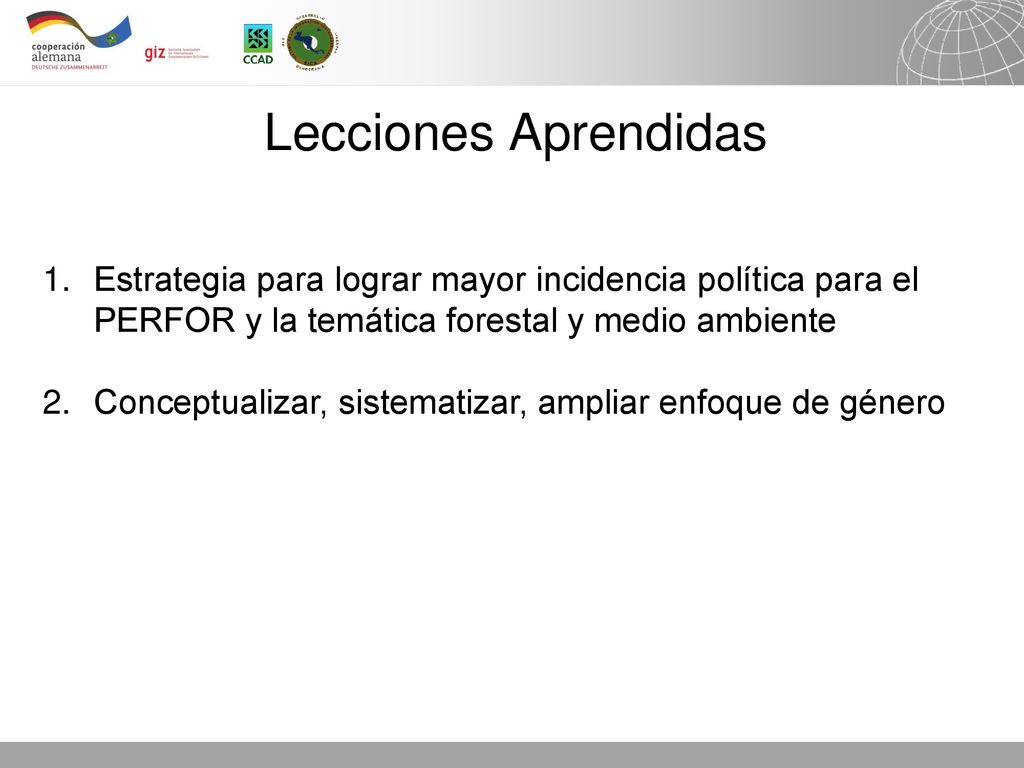 Lecciones Aprendidas Estrategia para lograr mayor incidencia política para el PERFOR y la temática forestal y medio ambiente.