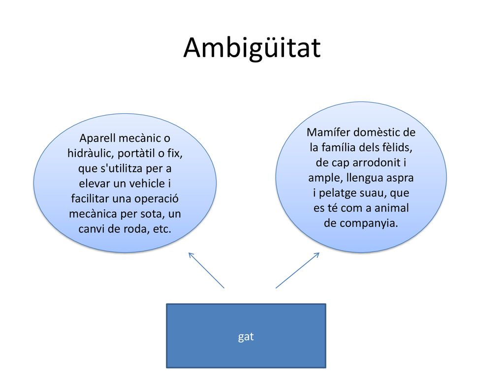 Ambigüitat Mamífer domèstic de la família dels fèlids, de cap arrodonit i ample, llengua aspra i pelatge suau, que es té com a animal de companyia.
