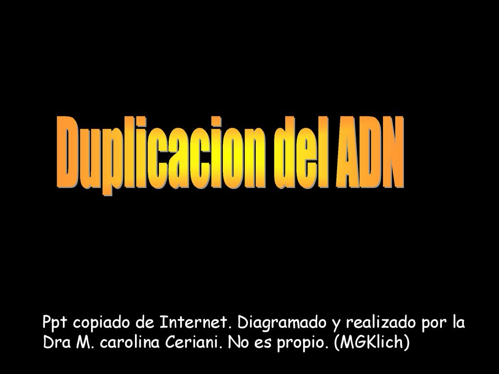 Duplicacion del ADN Ppt copiado de Internet. Diagramado y realizado por la Dra M.