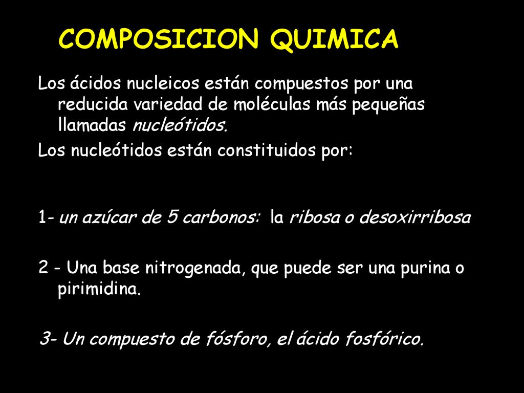 COMPOSICION QUIMICA Los ácidos nucleicos están compuestos por una reducida variedad de moléculas más pequeñas llamadas nucleótidos.