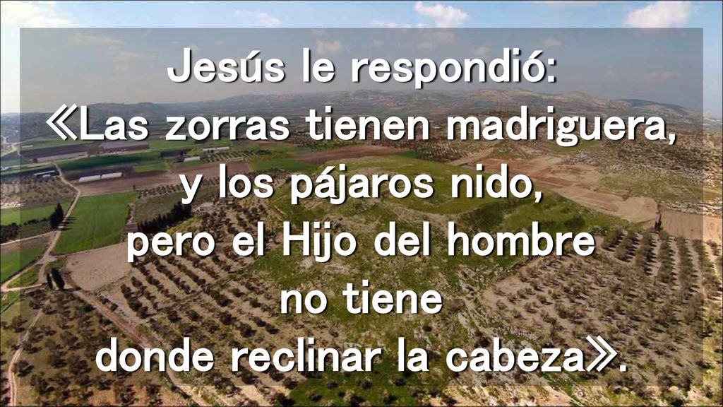 Jesús le respondió: «Las zorras tienen madriguera, y los pájaros nido, pero el Hijo del hombre no tiene donde reclinar la cabeza».