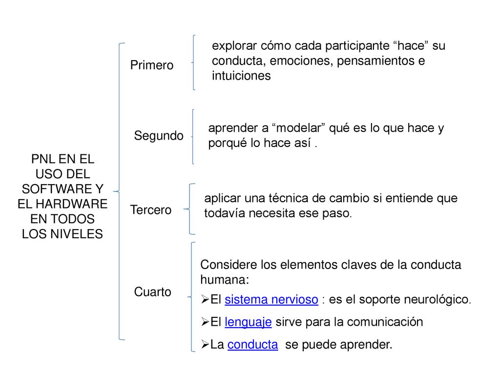 PNL EN EL USO DEL SOFTWARE Y EL HARDWARE EN TODOS LOS NIVELES