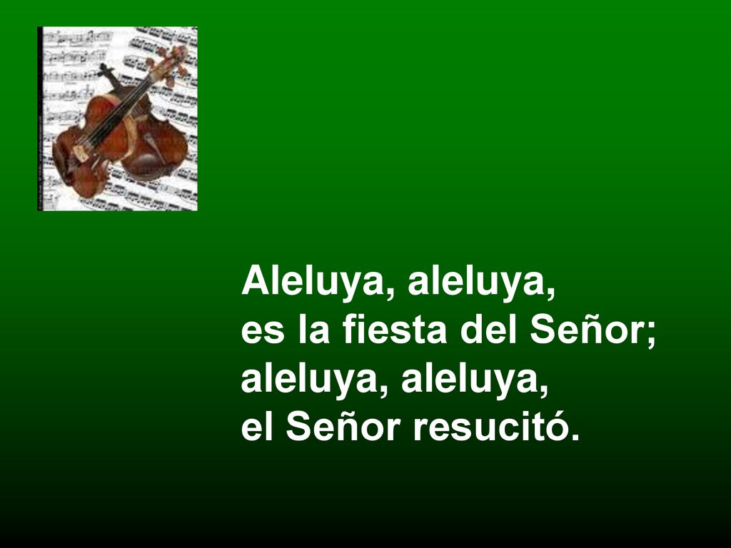 Aleluya, aleluya, es la fiesta del Señor; aleluya, aleluya, el Señor resucitó.
