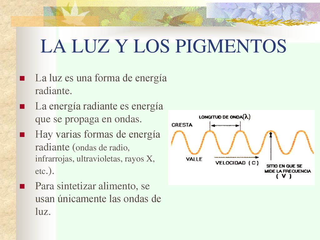 LA LUZ Y LOS PIGMENTOS La luz es una forma de energía radiante.