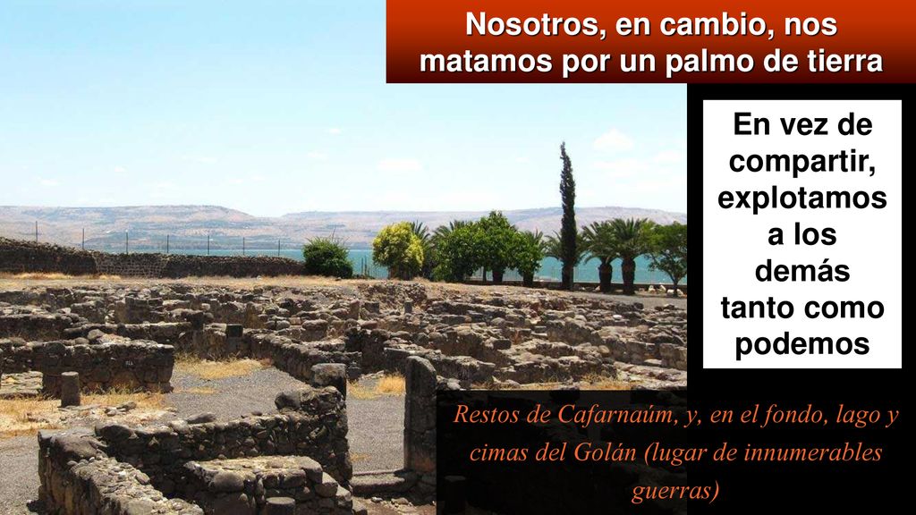 Nosotros, en cambio, nos matamos por un palmo de tierra