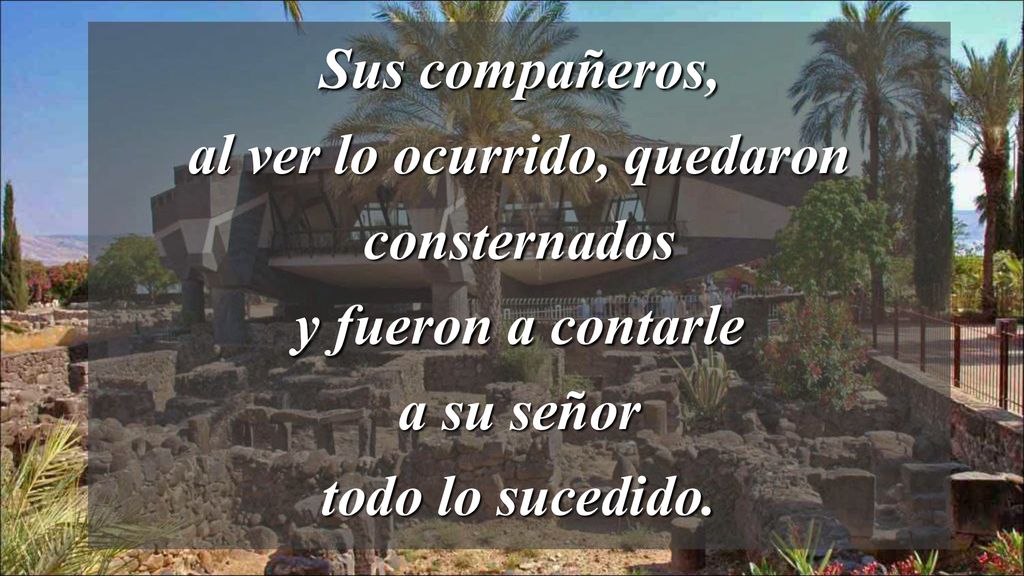 Sus compañeros, al ver lo ocurrido, quedaron consternados y fueron a contarle a su señor todo lo sucedido.