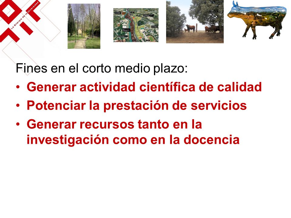 Fines en el corto medio plazo: