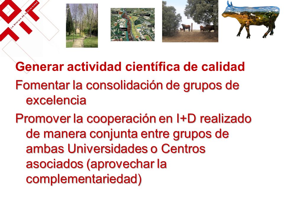 Generar actividad científica de calidad Fomentar la consolidación de grupos de excelencia Promover la cooperación en I+D realizado de manera conjunta entre grupos de ambas Universidades o Centros asociados (aprovechar la complementariedad)