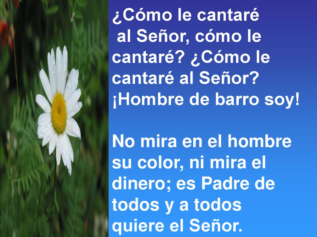 ¿Cómo le cantaré al Señor, cómo le cantaré ¿Cómo le cantaré al Señor ¡Hombre de barro soy! No mira en el hombre.