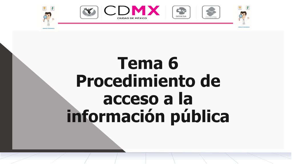 Tema 6 Procedimiento de acceso a la información pública