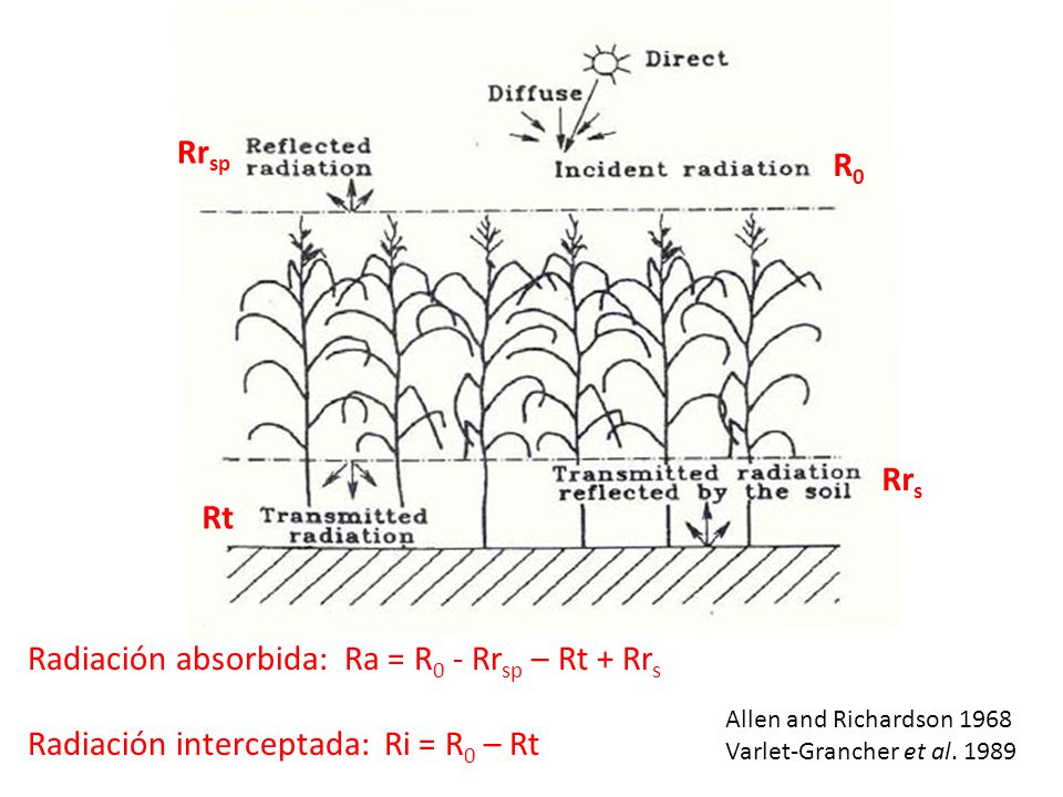 Radiación absorbida: Ra = R0 - Rrsp – Rt + Rrs