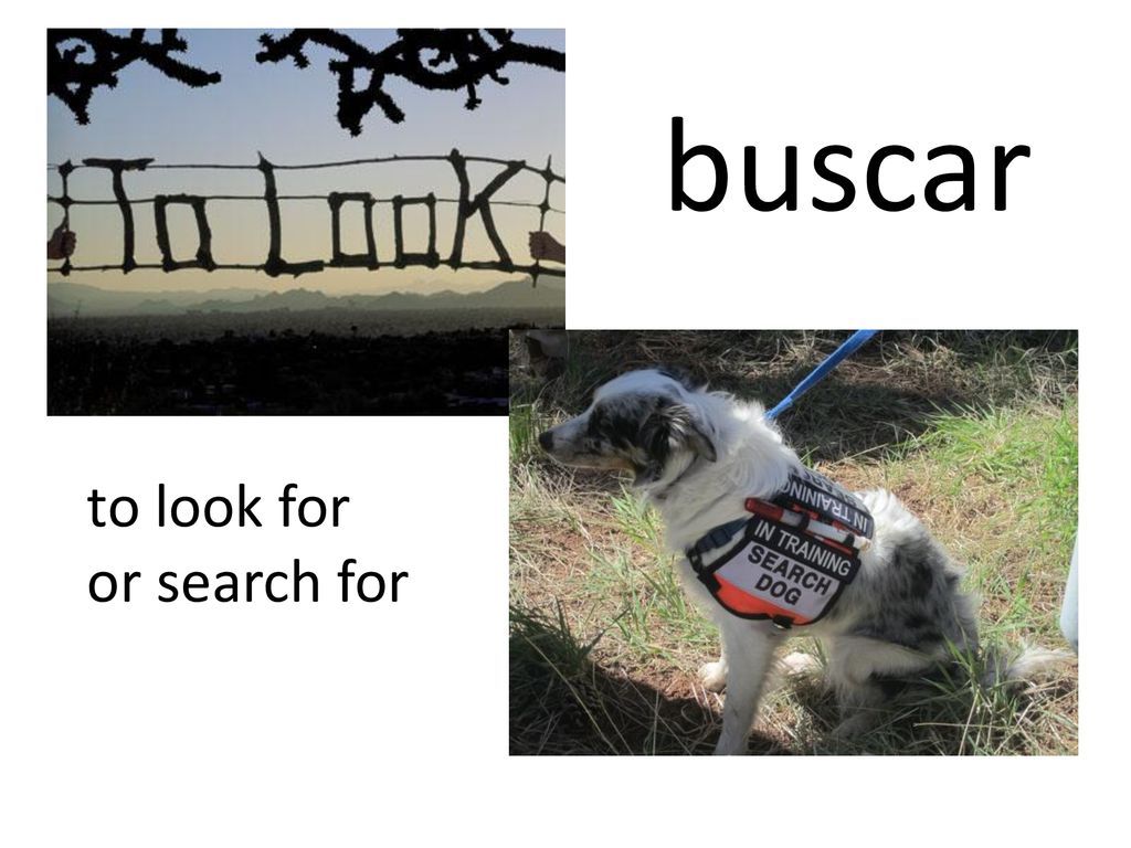 buscar to look for or search for