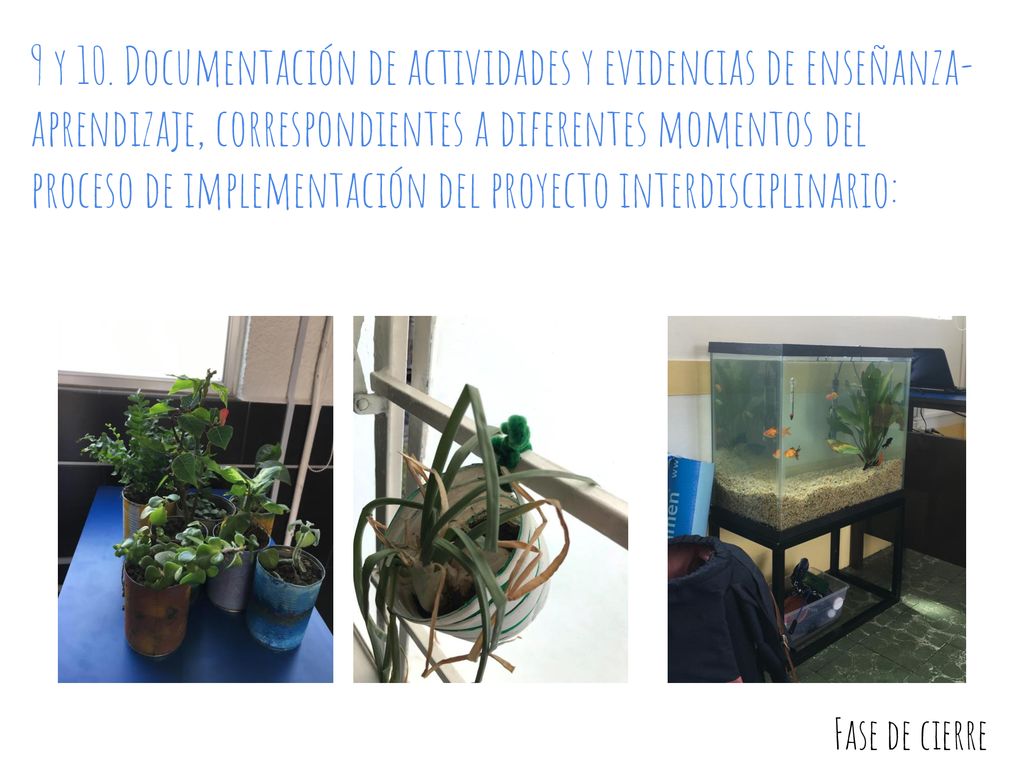 9 y 10. Documentación de actividades y evidencias de enseñanza-aprendizaje, correspondientes a diferentes momentos del proceso de implementación del proyecto interdisciplinario: