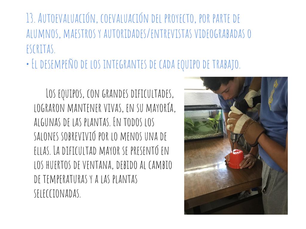• El desempeño de los integrantes de cada equipo de trabajo.
