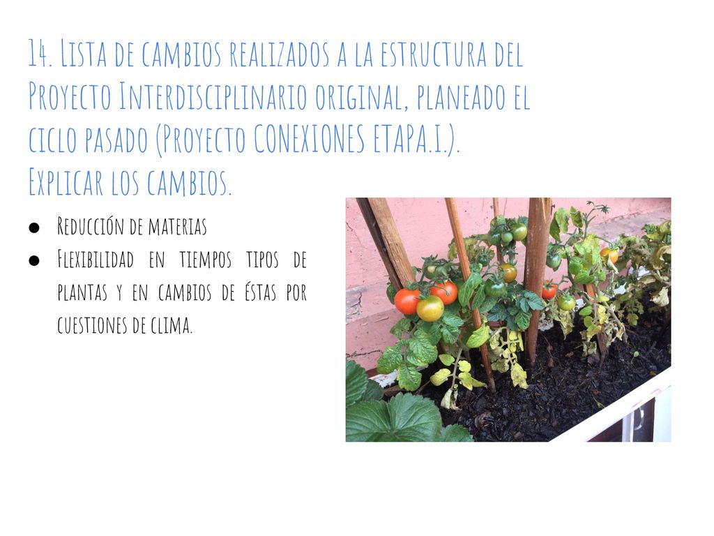 14. Lista de cambios realizados a la estructura del Proyecto Interdisciplinario original, planeado el ciclo pasado (Proyecto CONEXIONES ETAPA.I.).