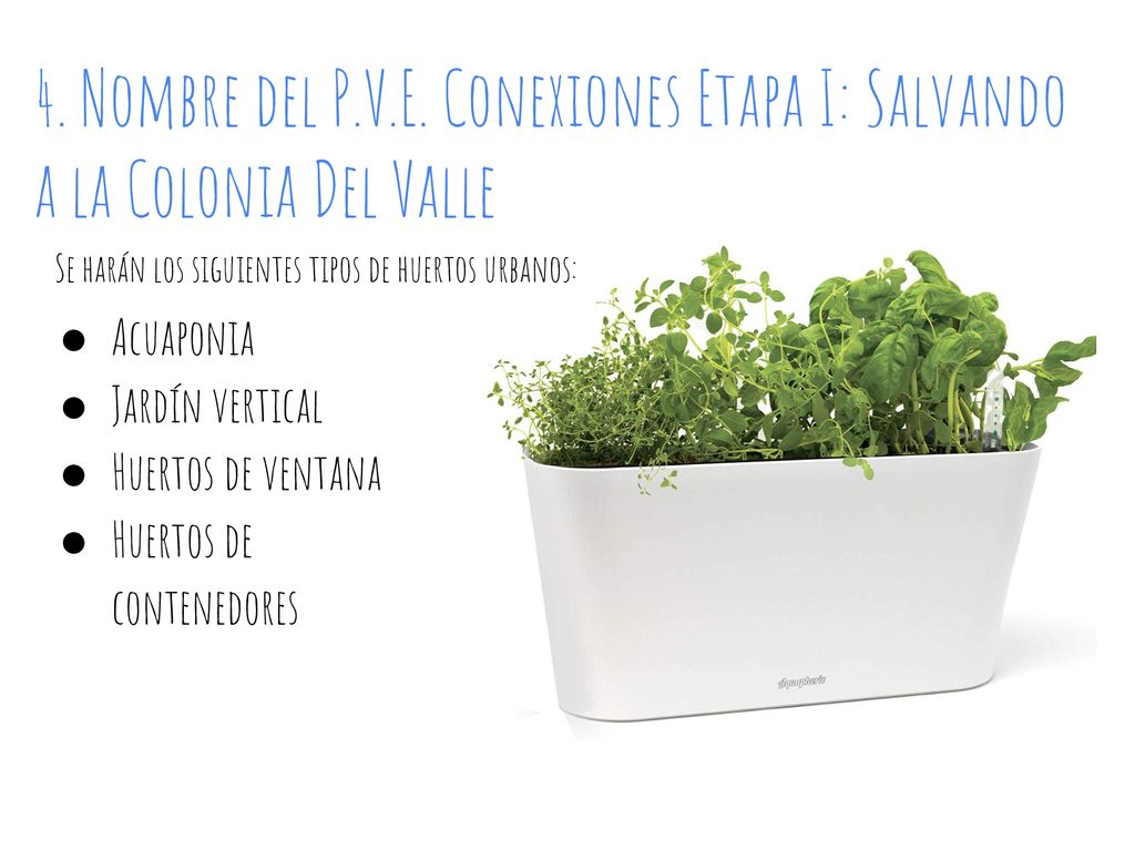 4. Nombre del P.V.E. Conexiones Etapa I: Salvando a la Colonia Del Valle