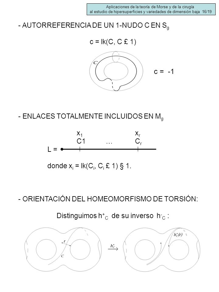 c = -1 - AUTORREFERENCIA DE UN 1-NUDO C EN Sg c = lk(C, C £ 1)
