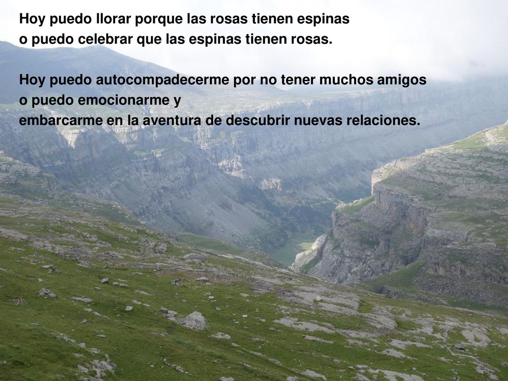 Hoy puedo llorar porque las rosas tienen espinas