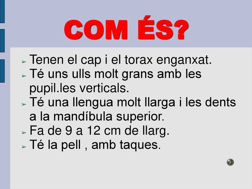 COM ÉS Tenen el cap i el torax enganxat.
