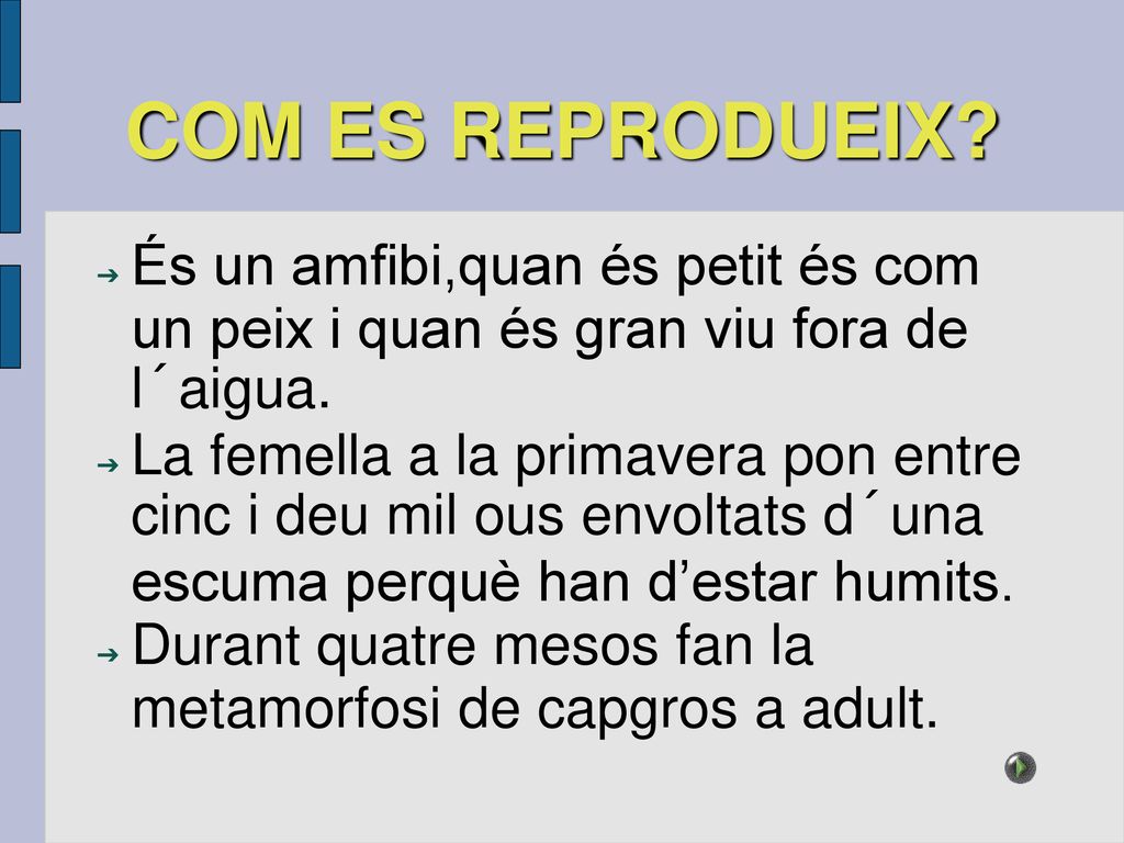 COM ES REPRODUEIX És un amfibi,quan és petit és com un peix i quan és gran viu fora de l´aigua.