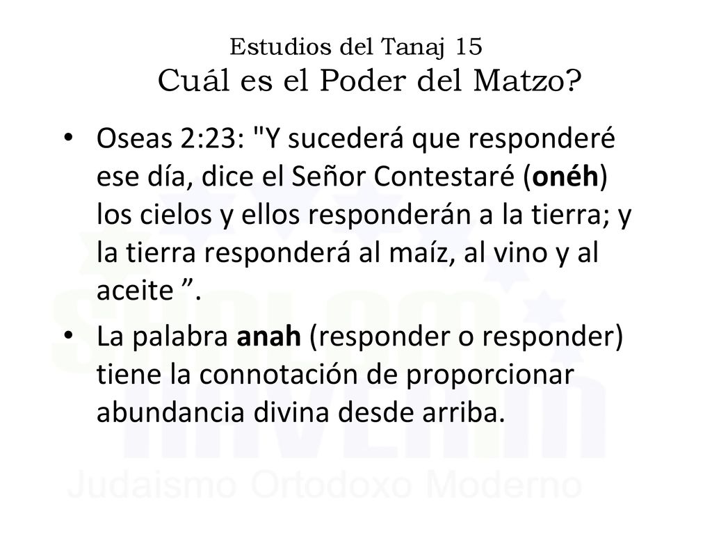 Estudios del Tanaj 15 Cuál es el Poder del Matzo